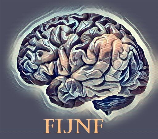 https://emerging-neurologist.org/public/site/images/vincent-colpin/fijnf.jpg